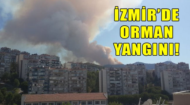 İzmir'in ciğerleri yanıyor!