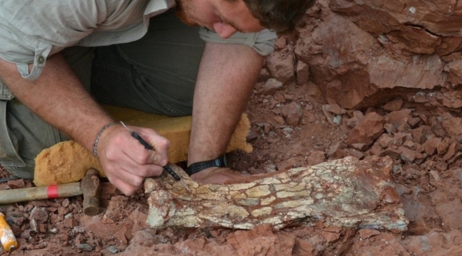 86 milyon yıl önce yaşamış 'Ölüm Ejderhası'na ait fosil kalıntılar bulundu