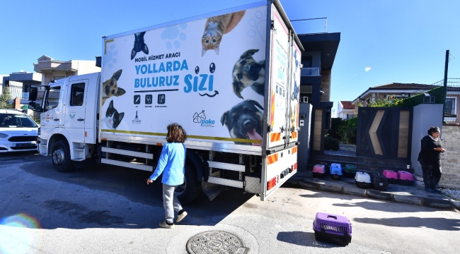 İzmir'de bir yılda 1600 hayvan, yerinde kısırlaştırıldı